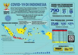 Situasi Virus Corona (Covid-19) Di Indonesia, Rabu, 25 Maret 2020