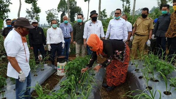 Ketua Dpd Ri Berkunjung Ke Cianjur