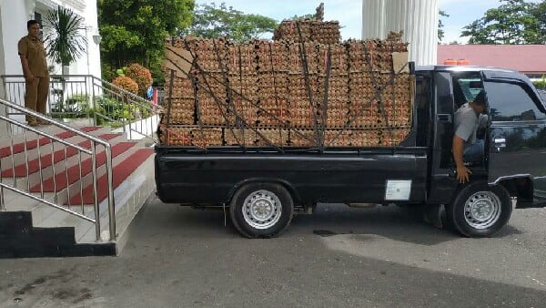 Bantuan Telur Nevi Zuairina Siap Bergerak Ke 19 Kota Dan Kabupaten Se Sumbar, Senin 11/5 (Foto: Dok/Nzcenter)