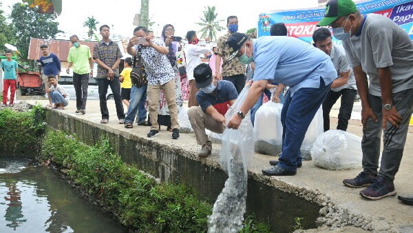 Berita Terkini Benih Ikan