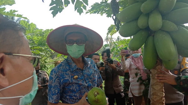 Gubernur Sumbar Bersama Kapolda Dan Danrem Menyaksikan Hasil Ketahanan Pangan Dari Polda Sumbar