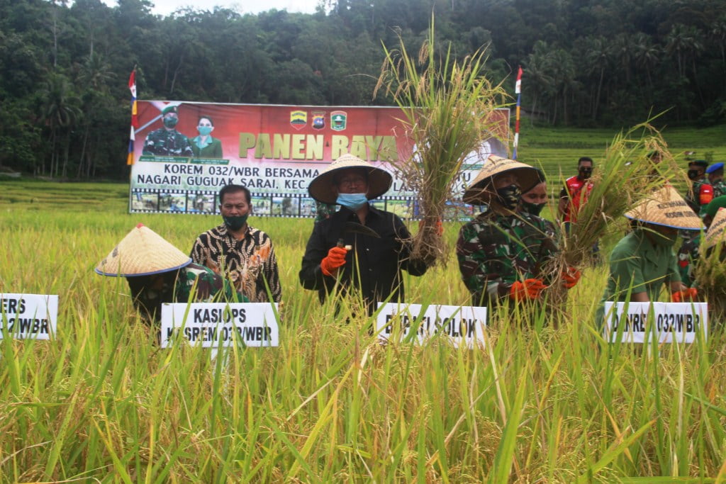 Panen Raya Padi