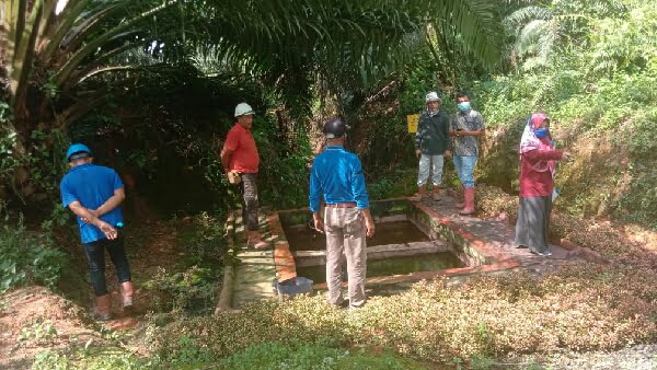 Dinas Lingkungan Hidup Pasbar Tinjau Dugaan Pencemaran Sungai