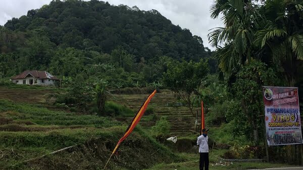 Berita Terkini Pasie Laweh Palupuh