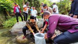 Wakil Ketua Komisi Ii Dprd Sumbar Muhayatul Menebar Benih Ikan Di Koto Ranah, Pesisir Selatan