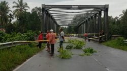 Berita Terkini Jembatan Tandikek