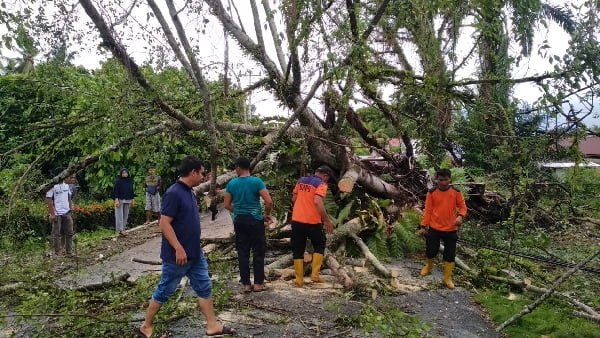 Berita Terkini Badai