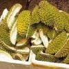 Kulit Durian untuk mengusir tikus