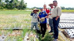 Hm Nurnas Isi Masa Reses Ke Daerah Pemilihan