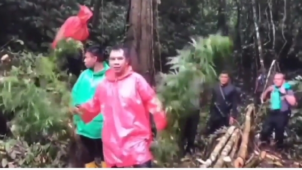 Polres Kerinci Ladang Ganja