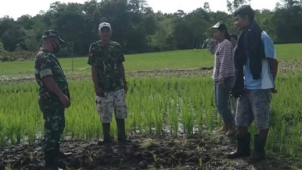 Babinsa Sipora Damaikan Perkelahian Warga Di Sipora