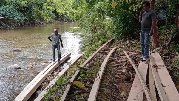 Penemuan Kayu Tak Bertuan Di Mandeh