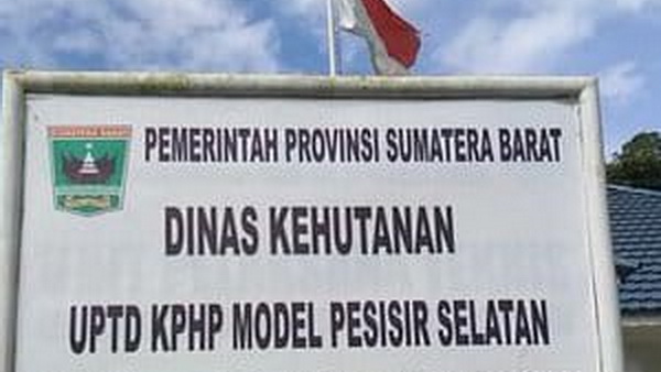 Uptd Kesatuan Pengelolaan Hutan Produksi (Kphp) Pessel