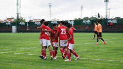 Timnas U 19