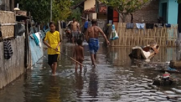 Banjir Rob Di Bima