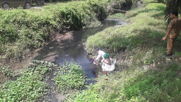 Anak Perusahaan Wilmar Group Pt.gresindo Minang Plantation (Gmp)