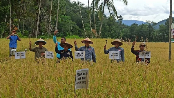 Sumbar Masih Mengandalkan Sektor Pertanian