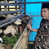 Anggota Dprd Sumbar Afrizal, Sh,Mh Saat Meninjau Kambing Bantuan